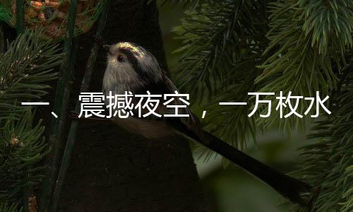 一、震撼夜空，一万枚水母烟花共舞苍穹之顶