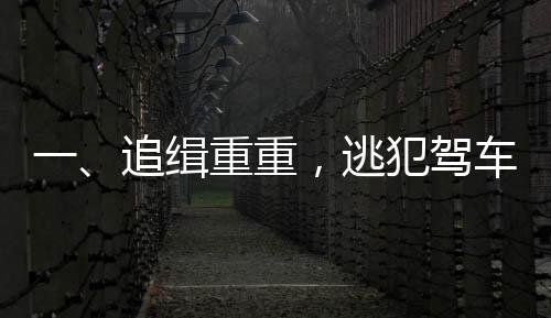 一、追缉重重，逃犯驾车冲撞民警事件揭秘