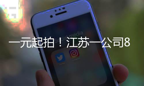 一元起拍！江苏一公司80%股权花落谁家？揭秘惊人拍卖幕后
