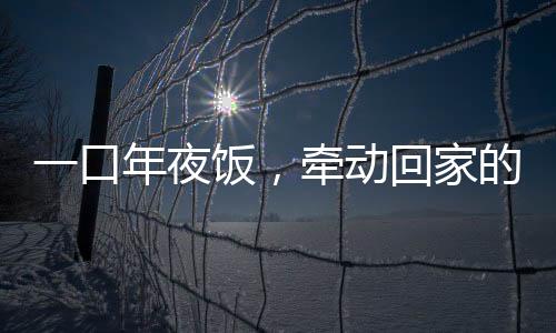 一口年夜饭，牵动回家的意义