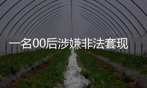 一名00后涉嫌非法套现近十万，警惕网络金融犯罪风险