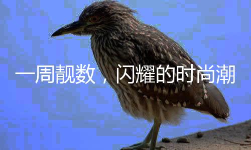一周靓数，闪耀的时尚潮流与生活亮点