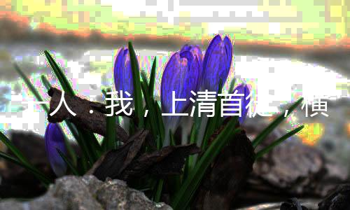 一人：我，上清首徒，横扫龙虎山