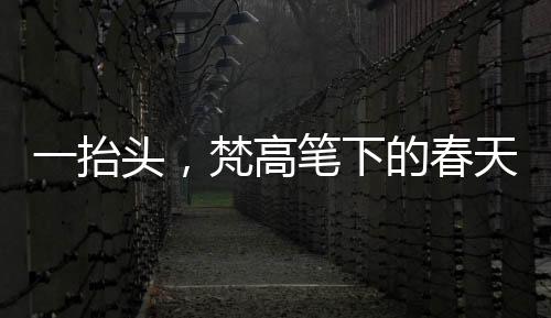 一抬头，梵高笔下的春天跃然眼前