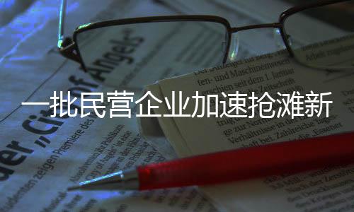 一批民营企业加速抢滩新赛道领跑竞争潮流