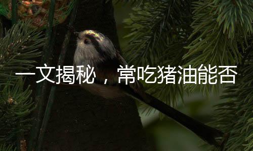 一文揭秘，常吃猪油能否治百病？真相并不简单
