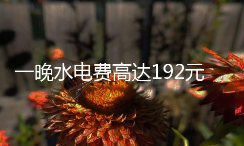一晚水电费高达192元引发关注，官方展开调查