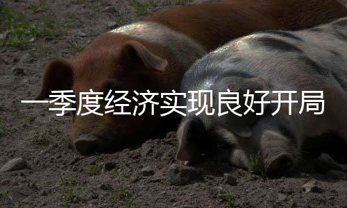 一季度经济实现良好开局 多领域销售收入稳步提升