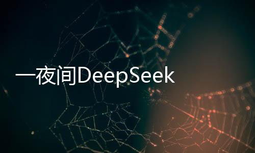 一夜间DeepSeek在美国刷屏，引领科技新潮流