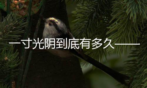 一寸光阴到底有多久——探寻时间的深度与广度
