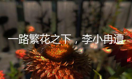 一路繁花之下，李小冉遭网友审判的深层次思考