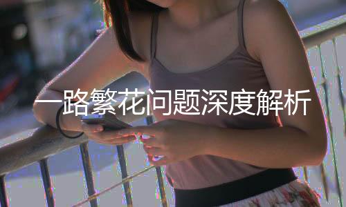 一路繁花问题深度解析