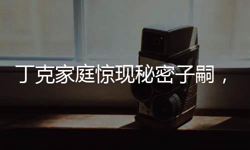 丁克家庭惊现秘密子嗣，丈夫隐晦生育引发深度探讨