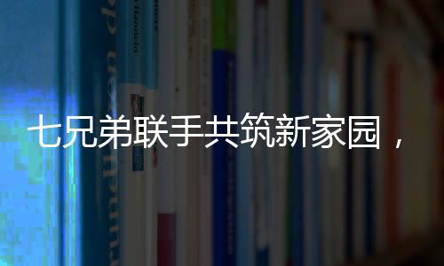 七兄弟联手共筑新家园，重建宅基地，重塑亲情墙