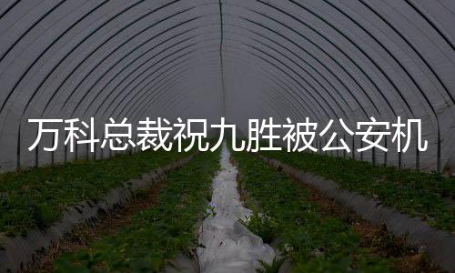 万科总裁祝九胜被公安机关带走引发业界震动