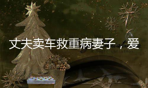 丈夫卖车救重病妻子，爱的力量穿越时空