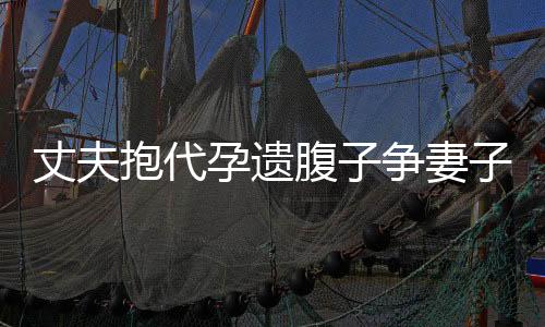 丈夫抱代孕遗腹子争妻子遗产？揭开事件内幕与人性的冲突