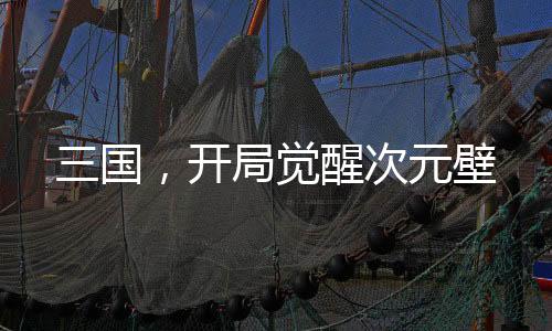 三国，开局觉醒次元壁