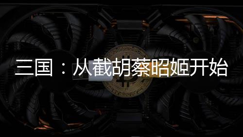 三国：从截胡蔡昭姬开始崛起