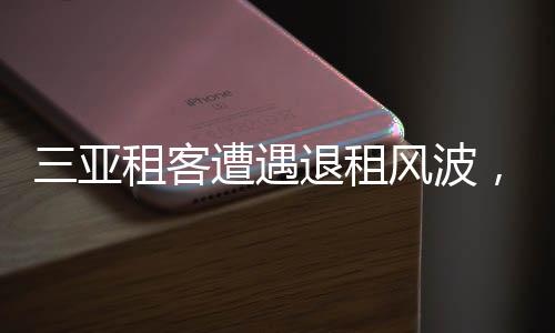 三亚租客遭遇退租风波，提灯定损引发关注