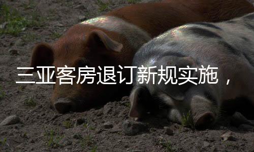三亚客房退订新规实施，规范旅游市场迎接新一轮旅游高峰