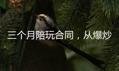 三个月陪玩合同，从爆炒杨密开始