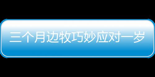 三个月边牧巧妙应对一岁德牧行为，引发关注——一场关于宠物互动的探讨