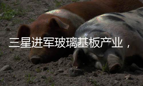 三星进军玻璃基板产业，积极布局，开启新篇章