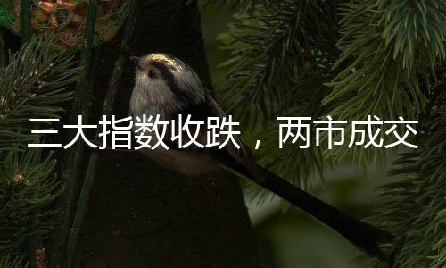 三大指数收跌，两市成交额缩量逾三千亿，市场走势分析与前景展望