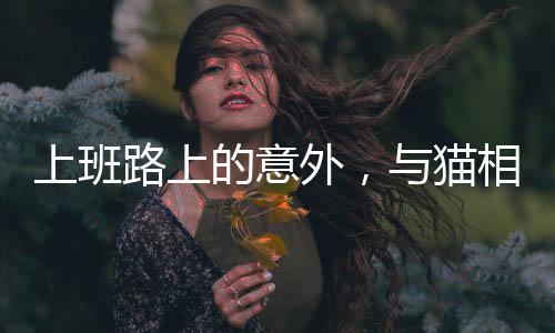 上班路上的意外，与猫相撞导致骨折