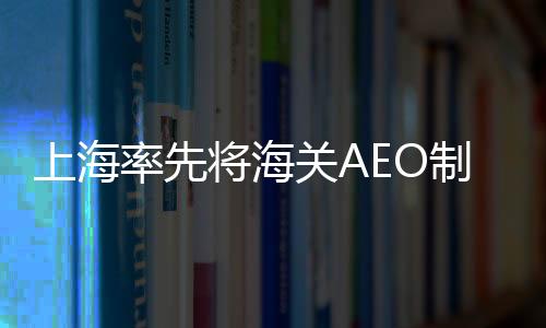 上海率先将海关AEO制度经验引入工业领域