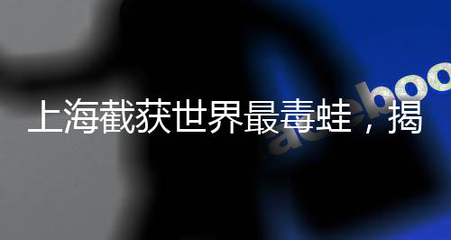 上海截获世界最毒蛙，揭秘这一重大发现背后的故事