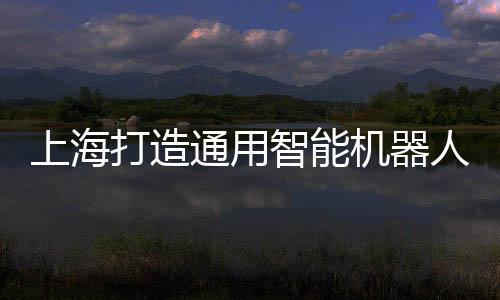 上海打造通用智能机器人产业制高点