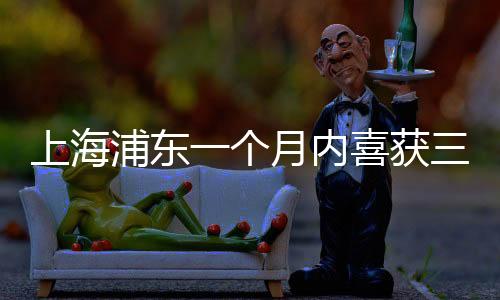 上海浦东一个月内喜获三个彩票大奖，彩票行业备受关注热议不断！揭秘中奖背后的小幸运和大梦想！