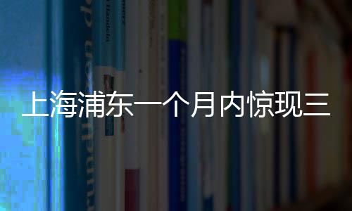 上海浦东一个月内惊现三大乐透大奖，幸运儿收获巨额奖金！