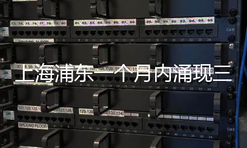 上海浦东一个月内涌现三大乐透大奖，幸运儿收获巨额惊喜