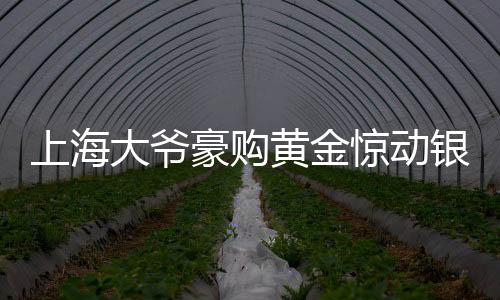 上海大爷豪购黄金惊动银行，背后故事揭秘