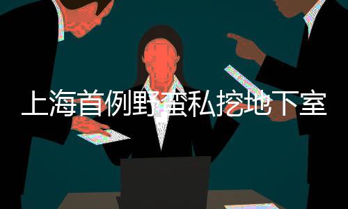 上海首例野蛮私挖地下室入刑案件详述