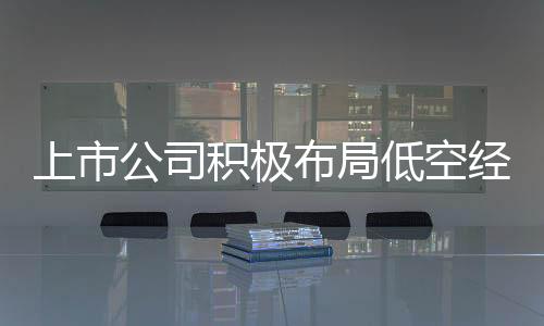上市公司积极布局低空经济，拓展发展视野，共创经济增长新篇章
