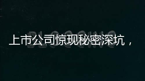 上市公司惊现秘密深坑，揭秘会计资料被埋背后的故事