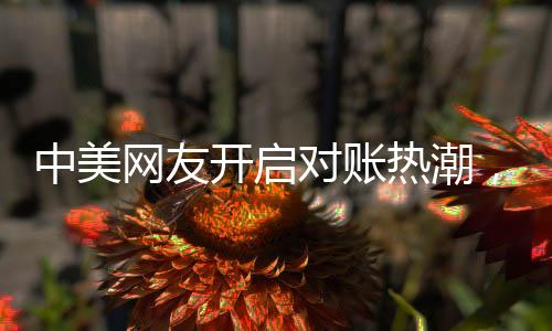 中美网友开启对账热潮，一场跨洋的云端交流风暴