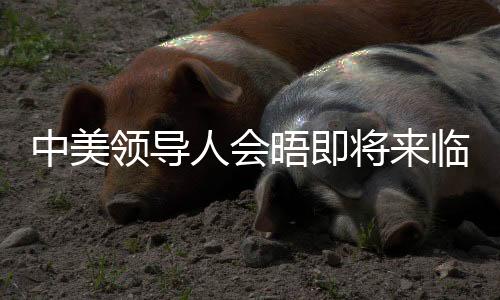 中美领导人会晤即将来临，中方回应与期待