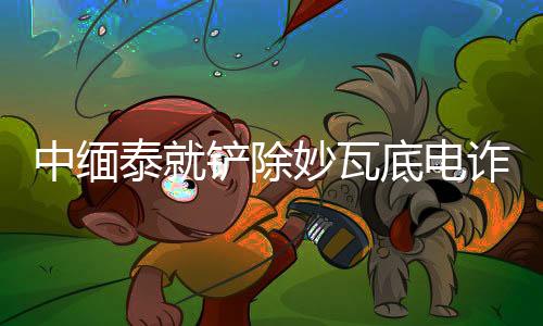 中缅泰就铲除妙瓦底电诈窝点达成共识