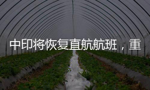 中印将恢复直航航班，重塑空中交通连接，推动双边关系向前发展