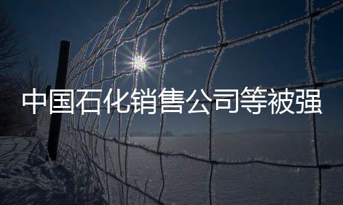 中国石化销售公司等被强制执行1.1亿，深度解析事件背景与影响