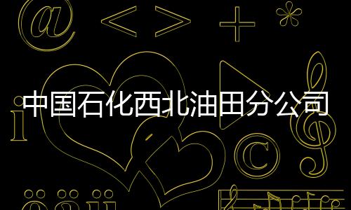 中国石化西北油田分公司原副总经理秦强运接受审查调查