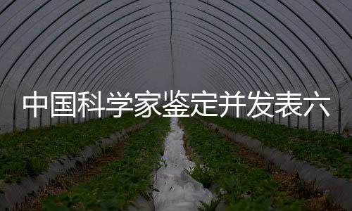 中国科学家鉴定并发表六个南极细菌新属，揭示地球最冷地区的生命奥秘