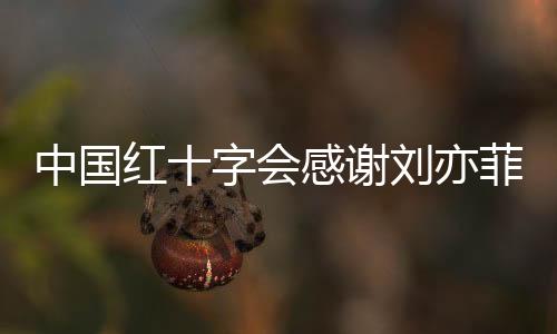 中国红十字会感谢刘亦菲捐赠取暖火炉，冬日暖流传遍人心