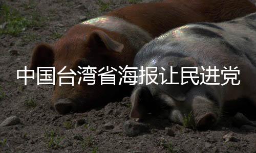 中国台湾省海报让民进党当局破防了