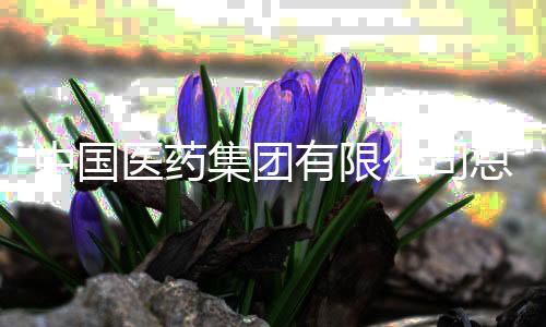中国医药集团有限公司总会计师杨珊华接受审查调查